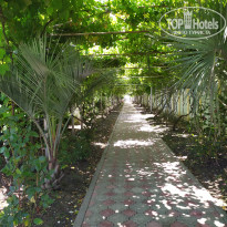 фото из отзыва ID 2722826