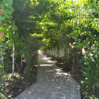 фото из отзыва ID 2722826