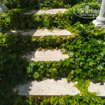 фото из отзыва ID 2722826