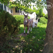 фото из отзыва ID 2722826