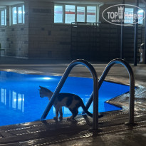 фото из отзыва ID 2722856