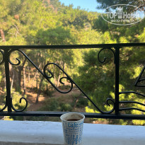 фото из отзыва ID 2722856