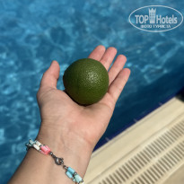 фото из отзыва ID 2722856