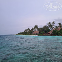 фото из отзыва ID 2722858