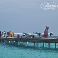 фото из отзыва ID 2722858