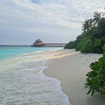 фото из отзыва ID 2722858