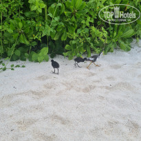 фото из отзыва ID 2722858