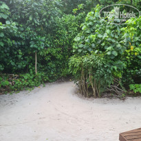 фото из отзыва ID 2722858