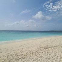 фото из отзыва ID 2722858