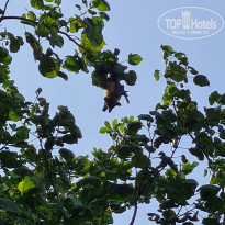 фото из отзыва ID 2722858