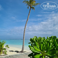 фото из отзыва ID 2722858