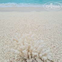 фото из отзыва ID 2722858