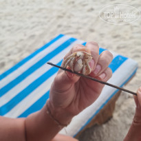 фото из отзыва ID 2722858