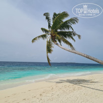 фото из отзыва ID 2722858