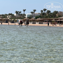 фото из отзыва ID 2722872