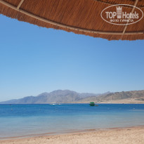 фото из отзыва ID 2722900