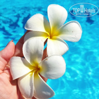 фото из отзыва ID 2722768