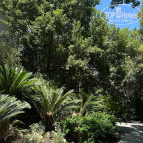 фото из отзыва ID 2722924