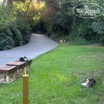 фото из отзыва ID 2722924