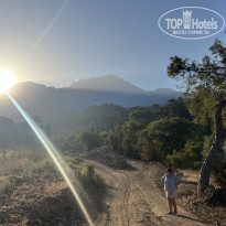 фото из отзыва ID 2722929