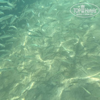 фото из отзыва ID 2722942