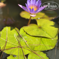 фото из отзыва ID 2722959