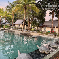 фото из отзыва ID 2722959