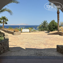 фото из отзыва ID 2722964