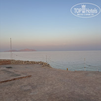 фото из отзыва ID 2722964