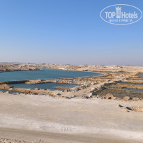 фото из отзыва ID 2722977