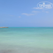 фото из отзыва ID 2722977