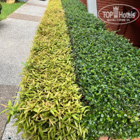 фото из отзыва ID 2722981