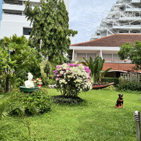 фото из отзыва ID 2722981