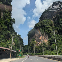 фото из отзыва ID 2722998