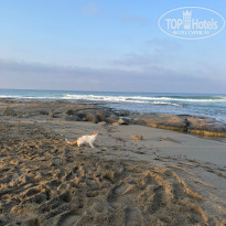 фото из отзыва ID 2722996