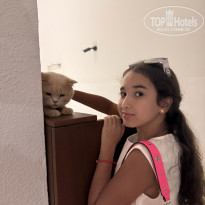 фото из отзыва ID 2723009