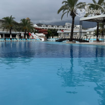 фото из отзыва ID 2723016