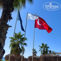 фото из отзыва ID 2723006