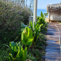 фото из отзыва ID 2723006