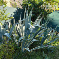 фото из отзыва ID 2723006