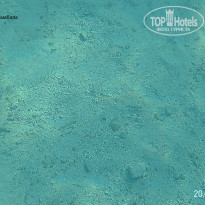 фото из отзыва ID 2723071