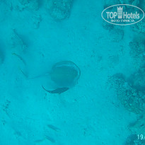 фото из отзыва ID 2723071