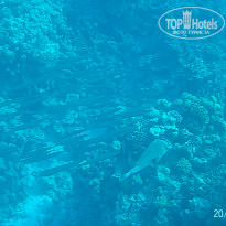 фото из отзыва ID 2723071