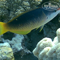 фото из отзыва ID 2723071