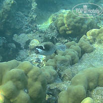 фото из отзыва ID 2723071