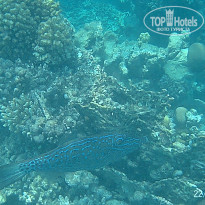 фото из отзыва ID 2723071