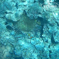 фото из отзыва ID 2723071