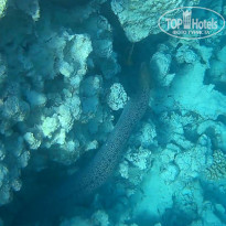 фото из отзыва ID 2723071