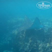 фото из отзыва ID 2723071