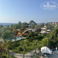 фото из отзыва ID 2723084